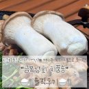 식이상회 | 새로운 캠핑밀키트 금복상회 치품송 직접 먹은 솔직 후기