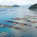 수산물유통시설관리사업소 가동 | 해수부, 부산·경남 어업인과 수산 분야 기후변화 대응책 모색