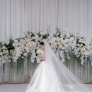 함은정 카카오 검색결과