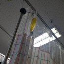 우리호병원 이미지