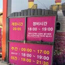 2026 태안 세계 튤립 꽃 박람회 후기 개화상황 주차,입장료까지! 내년에도 또 간다! (내돈내산)