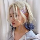 샵꽁뜨 서교점 이미지