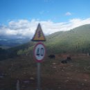 샹그리라민박 이미지