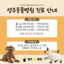 영주동물병원 이미지