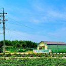 경의로 789번길 이미지