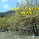 (주)꽃보다 크린 이미지