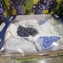 대월2천 이미지