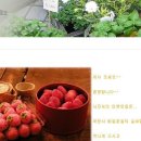 떡만드는사람들 이미지
