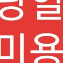 빠박이 애견미용 이미지