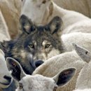 삼청목장 이미지