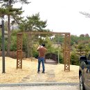 영주카페추천 국립산림치유원 카페 인더숲