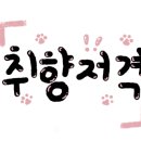 메종드상상 이미지
