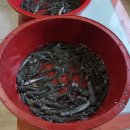 욕보할매집 이미지