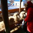 대인목장 이미지