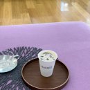 인천쇼파 매장 헷세드 송도점 신혼집 가구 베쏘 소파 추천, 가격 등 후기