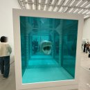 뿌리 철학A | 데이미언 허스트 < 진실은 없어 그러나 모든것은 가능하지 > | 국립현대미술관 서울 관람 후기