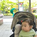 용산-371 이미지