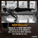 플란체 네이버블로그