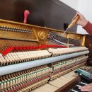 예음피아노교습소 이미지