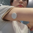 연속혈당측정기 루틴 공개!메타그린+저속노화식단으로 혈당 잡는 법