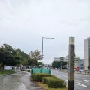 원주농협 양곡유통센터 | 쿠팡 서초 1캠프 물류센터 솔직 후기(이거 몰랐다가 귀가함)