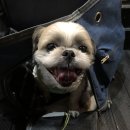옛날통닭송정점 이미지
