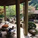 영규농장 이미지