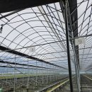 나산농장 이미지