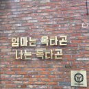 독타곤 이미지