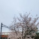 동산한식뷔페 이미지