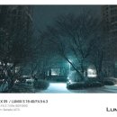 (40+)스마트폰으로 영상 편집 끝내기 | 파나소닉 S9 두 달 간 실사용 해 본 후기(18-40mm 번들렌즈 &amp; 24-60mm f2.8)