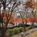 추계약국 이미지