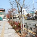 전주동북초등학교 이미지