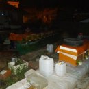 태양 양봉원 이미지