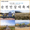 제24회 순천만 갈대 축제(10월중) | 순천 가을 여행 순천만 갈대 축제 입장료 주차 순천만습지 갈대밭 추천