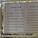 홍장군 이미지