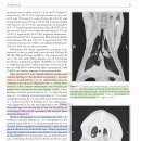 Feline lung lobe torsion의 임상 특징들과 long-term outcome 이미지