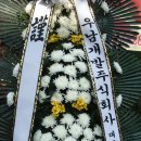 성애플라워 이미지
