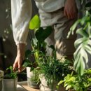 나만의 플랜테리어 이미지