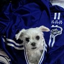 이채민은 진짜 유명한 삼빠임💙🦁⚾️🍀