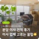 효성워시원 | ㅣ성남ㅣ분당 포장 이사 견적 후기 (포장 이사 업체 고르는 꿀팁 정리)