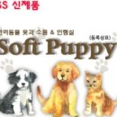 w소프트 이미지