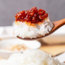 신세계젓갈