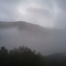 형은농장 이미지