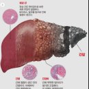 태평양약국 이미지