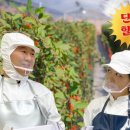 재구농장 이미지