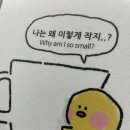 (주)가현 이미지