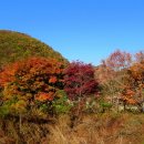 구봉산 이미지