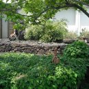 김영갑갤러리 (두모악) 이미지