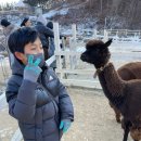 수현목장 이미지